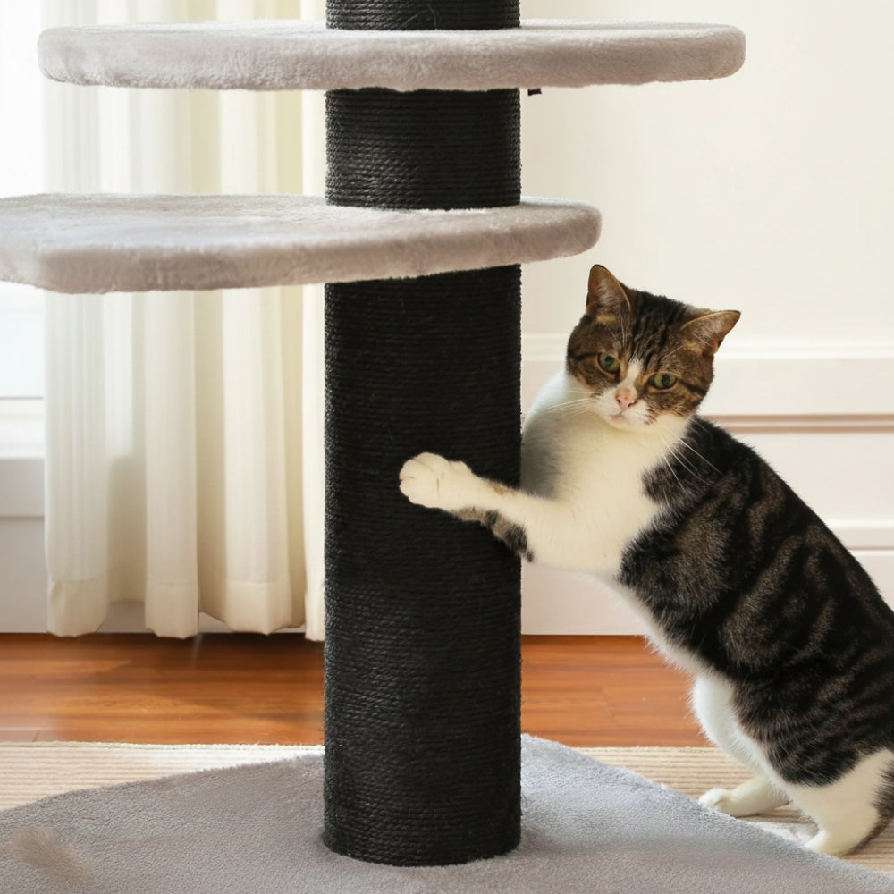 Arbre À Chat - Frimousse