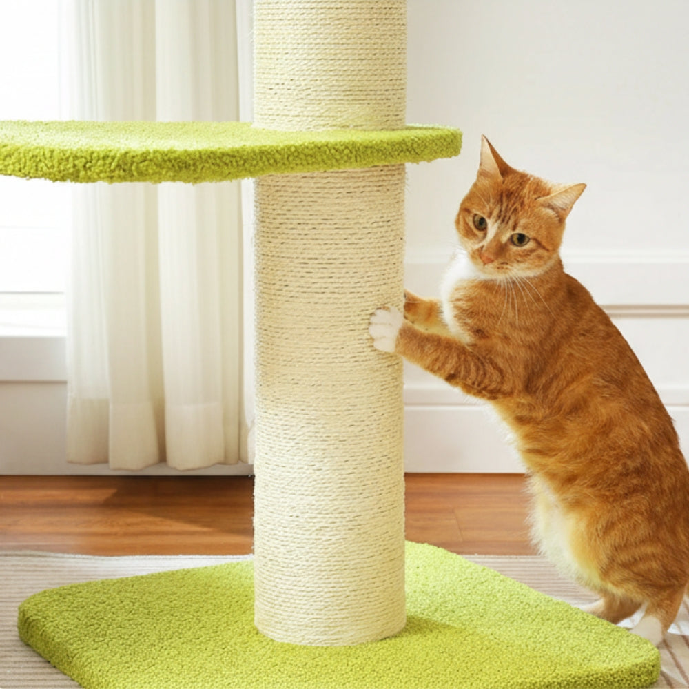 Arbre À Chat - Frimousse