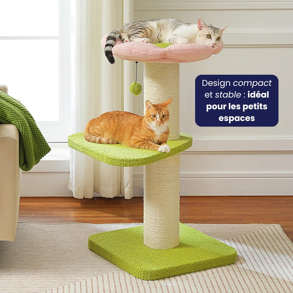 Arbre À Chat - Frimousse