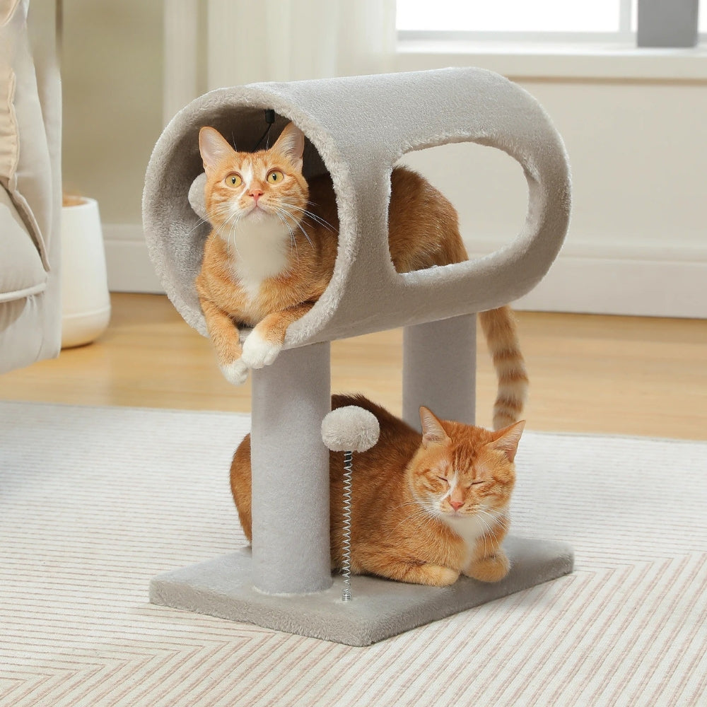 Arbre À Chat - Molly