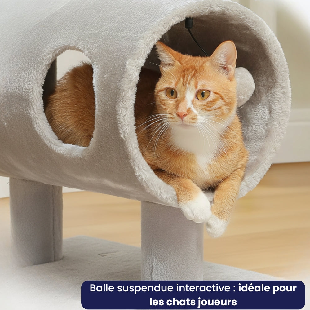 Arbre À Chat - Molly