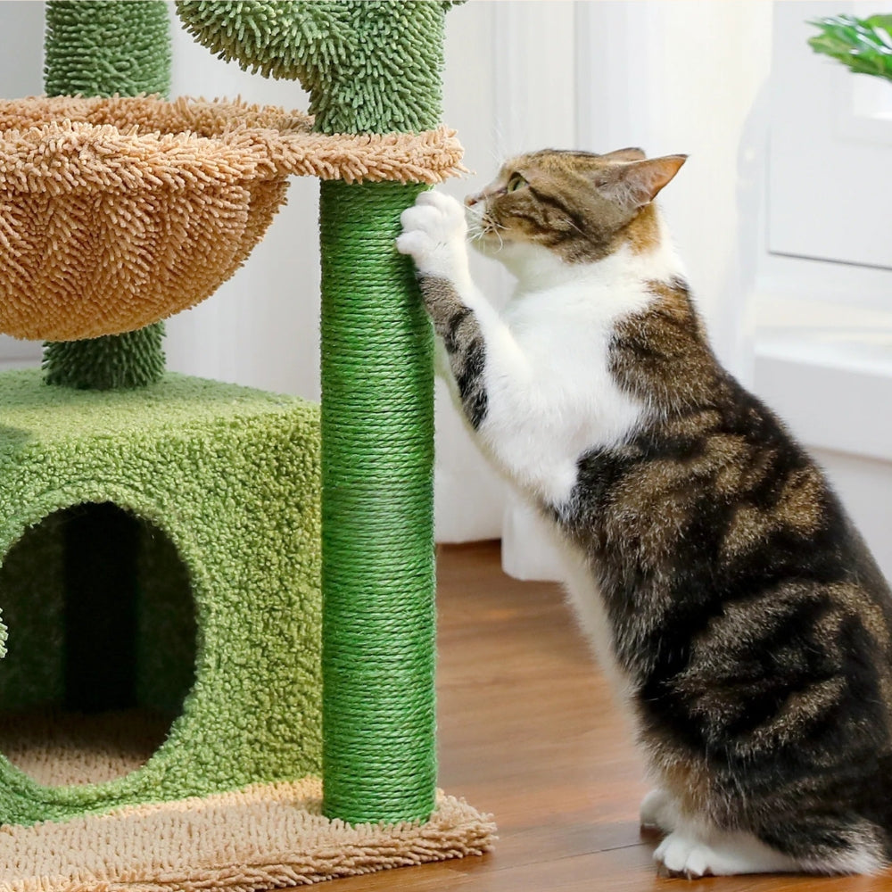 Arbre À Chat - Onix