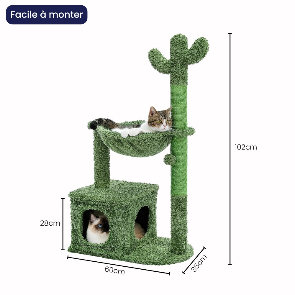 Arbre À Chat - Eddy