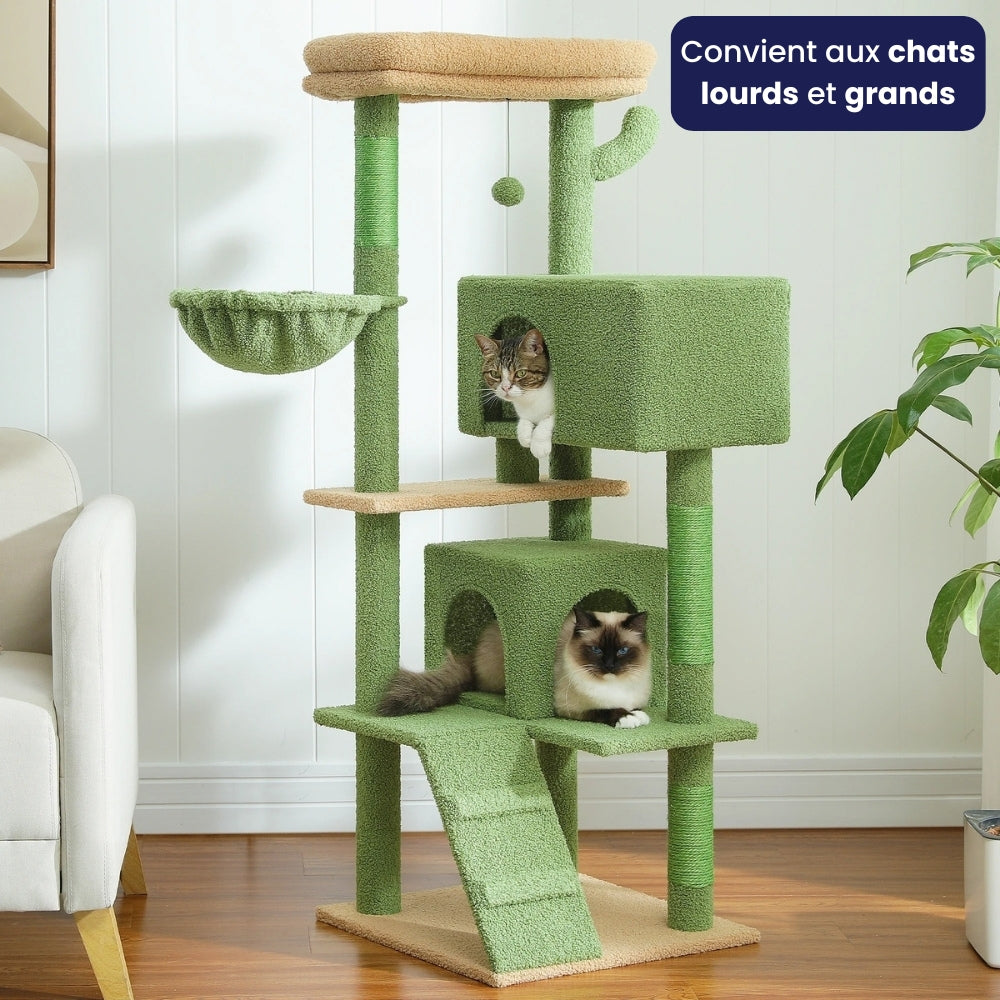 Arbre À Chat - Mikado