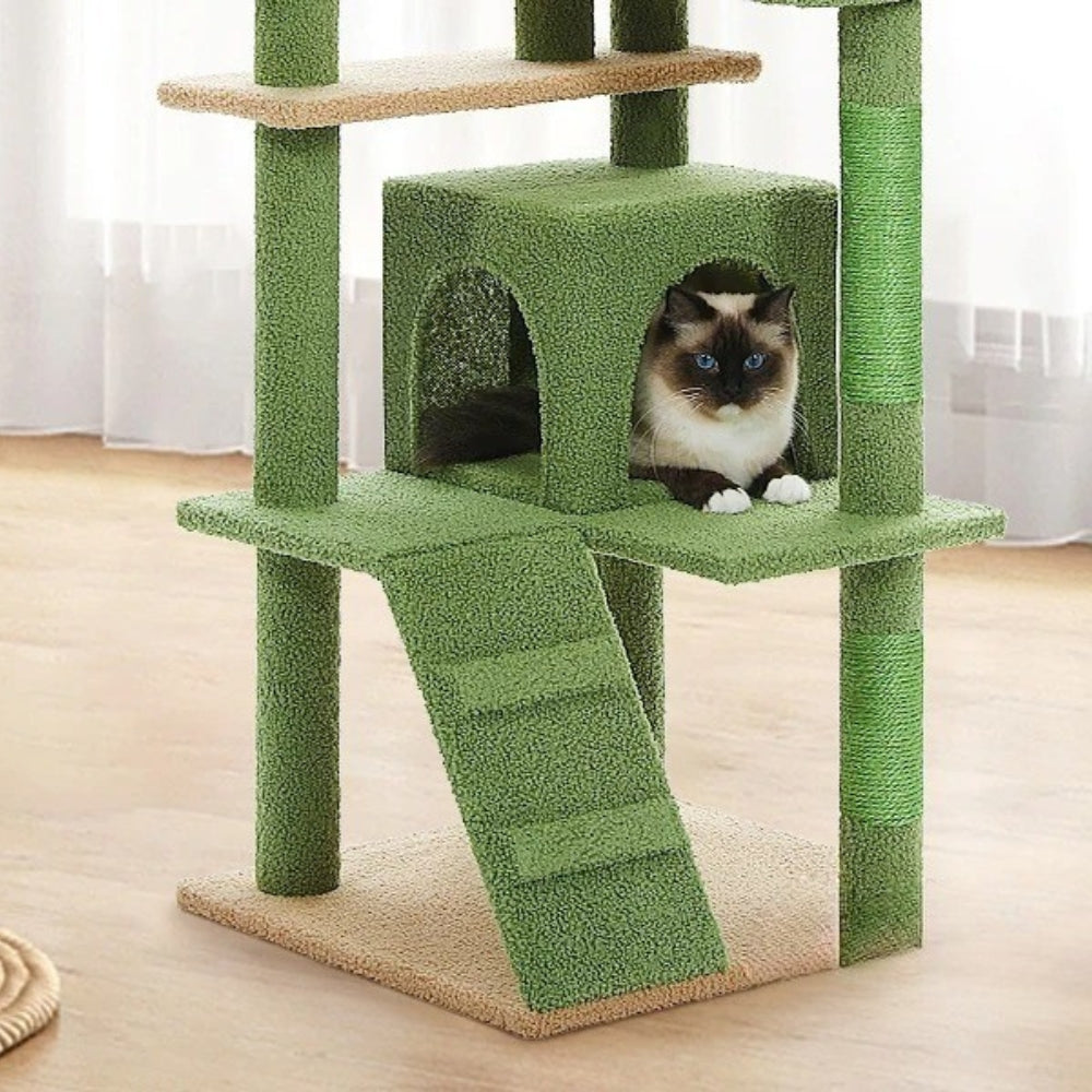 Arbre À Chat - Mikado