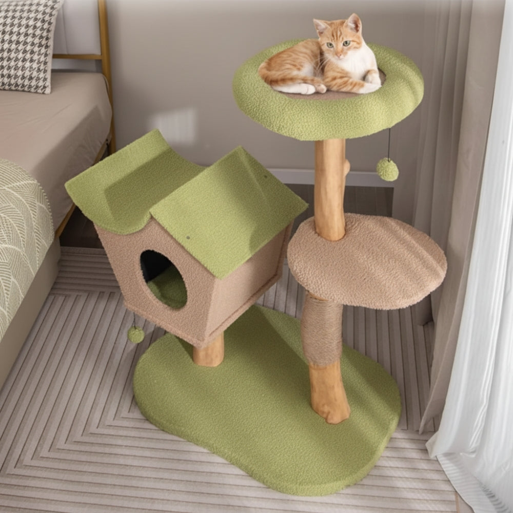 Arbre À Chat - Toby