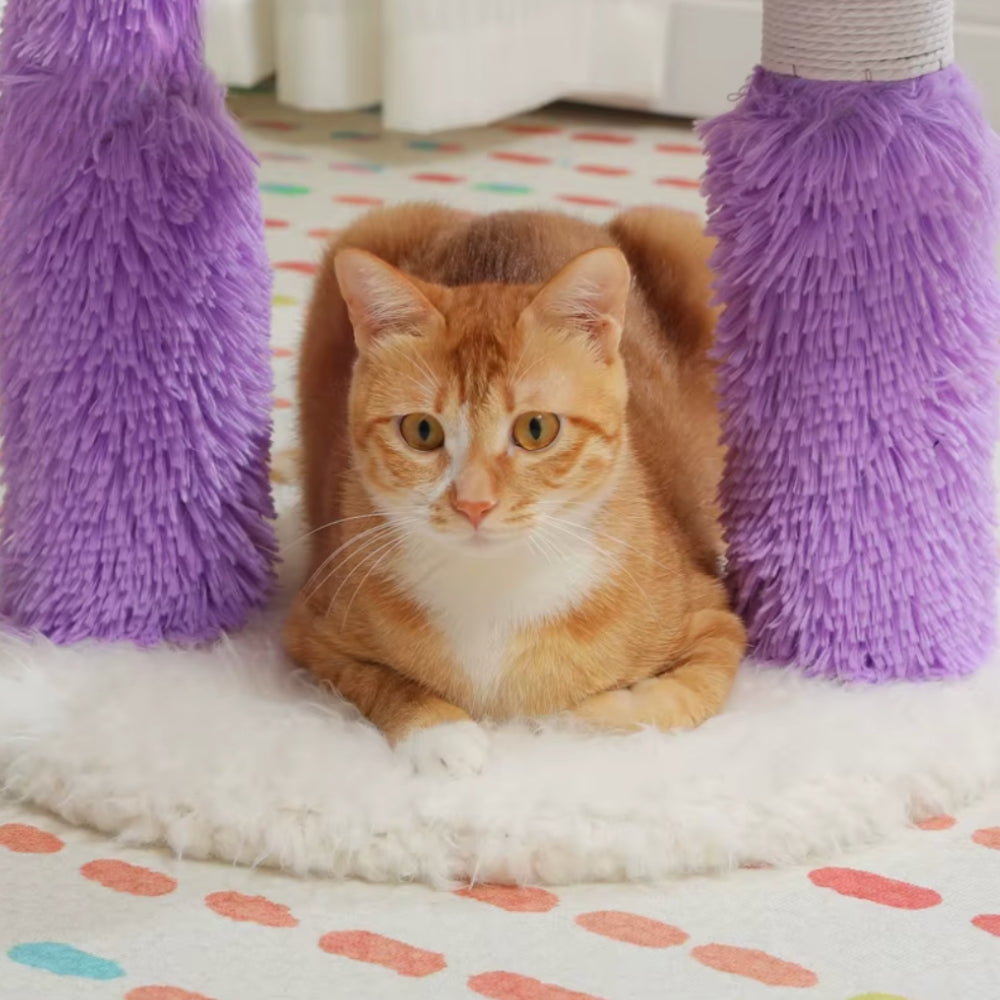 Arbre À Chat - Noodle