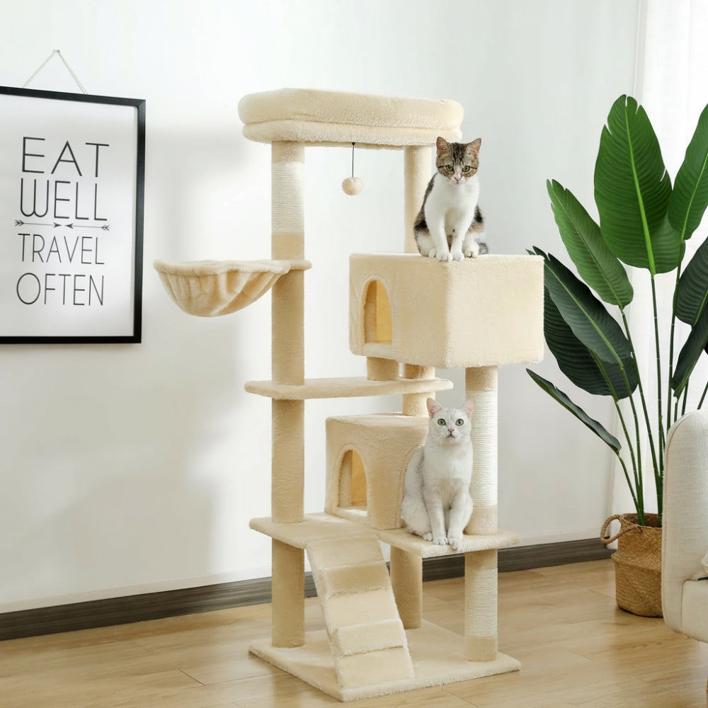 Arbre À Chat - Willow