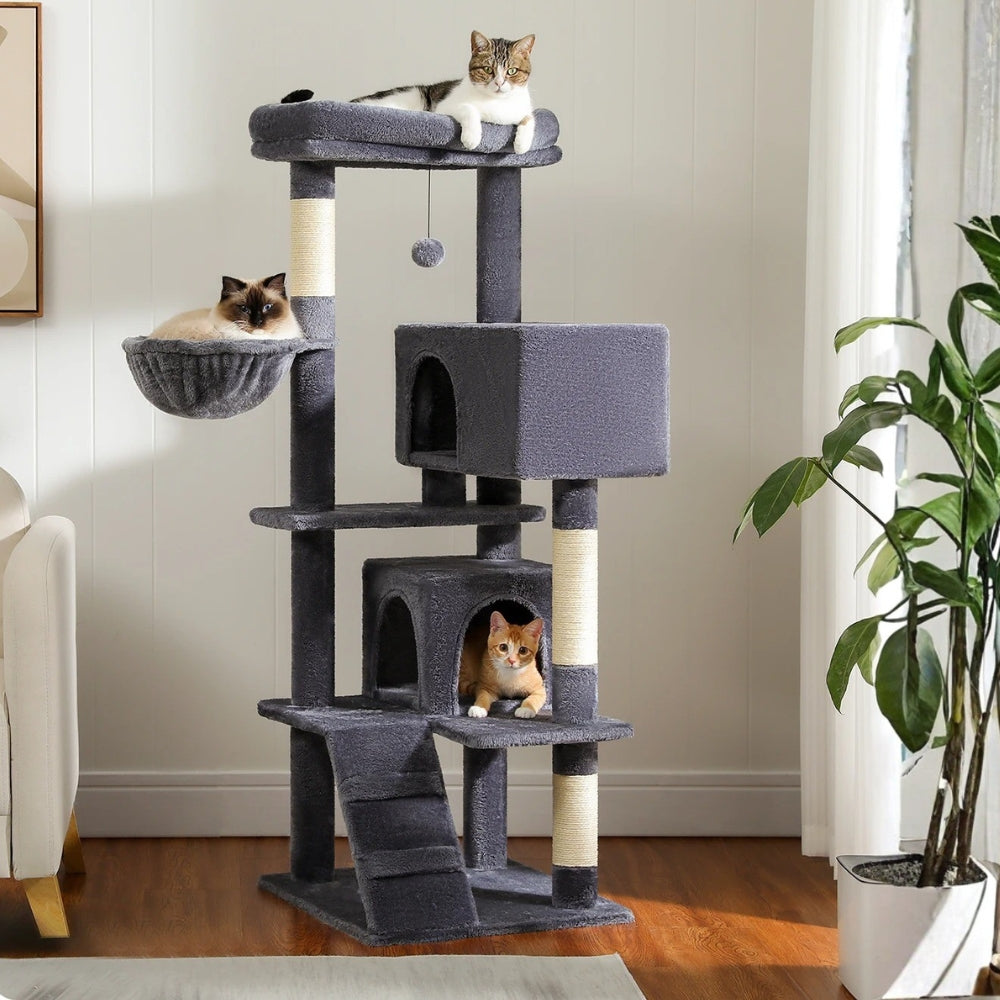 Arbre À Chat - Willow