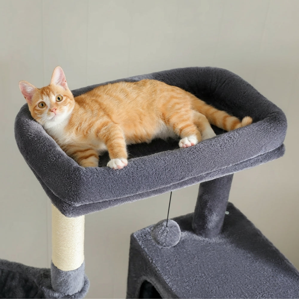 Arbre À Chat - Willow