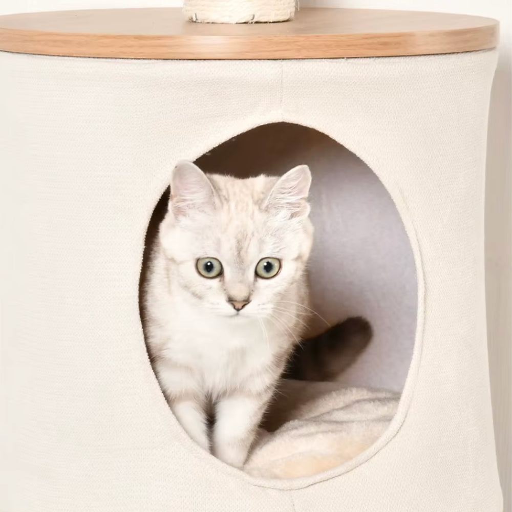 Arbre À Chat - Mélo