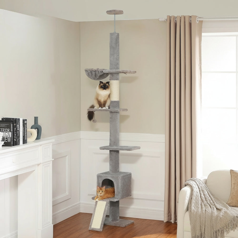 Arbre À Chat - Alex