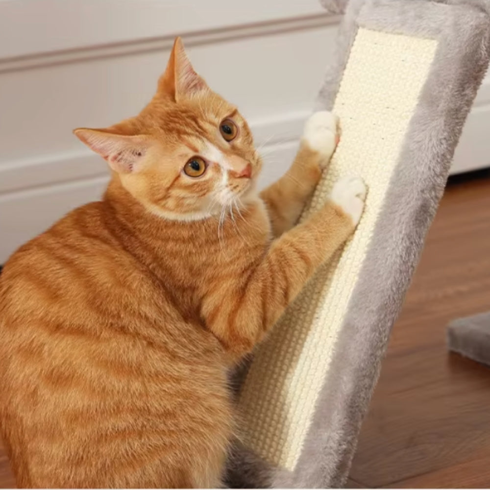 Arbre À Chat - Alex