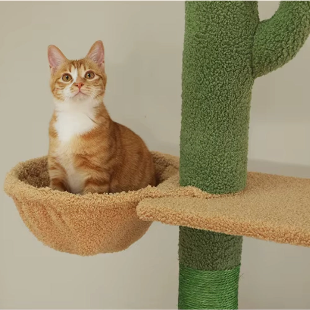 Arbre À Chat - Alex