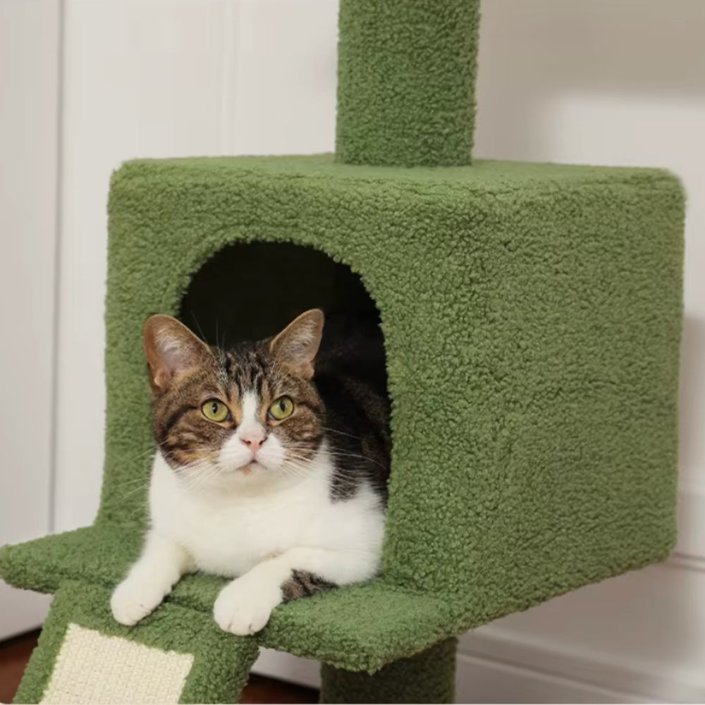 Arbre À Chat - Alex