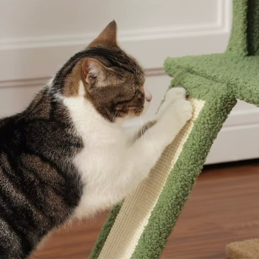 Arbre À Chat - Alex