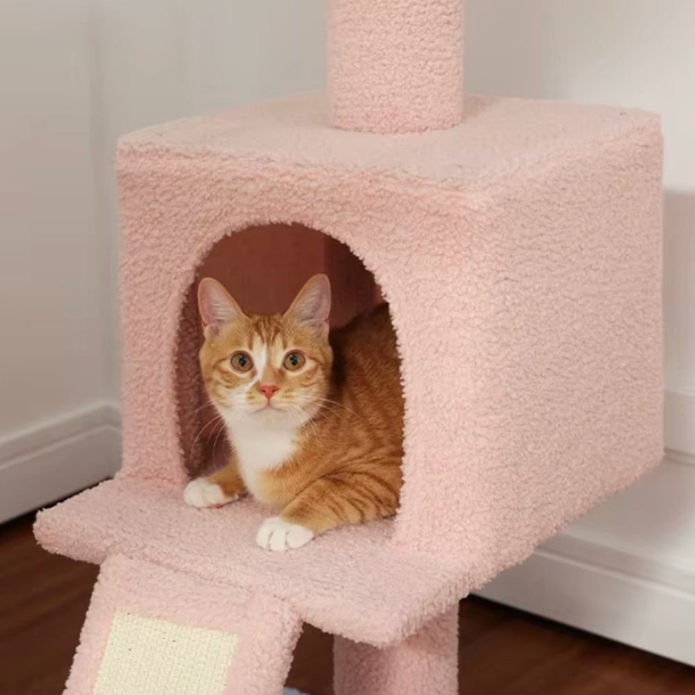 Arbre À Chat - Alex