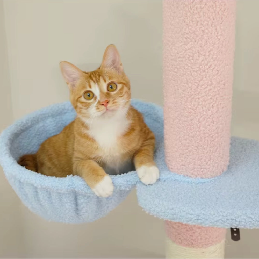 Arbre À Chat - Alex