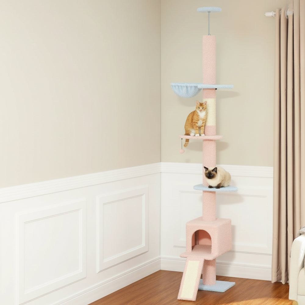 Arbre À Chat - Alex