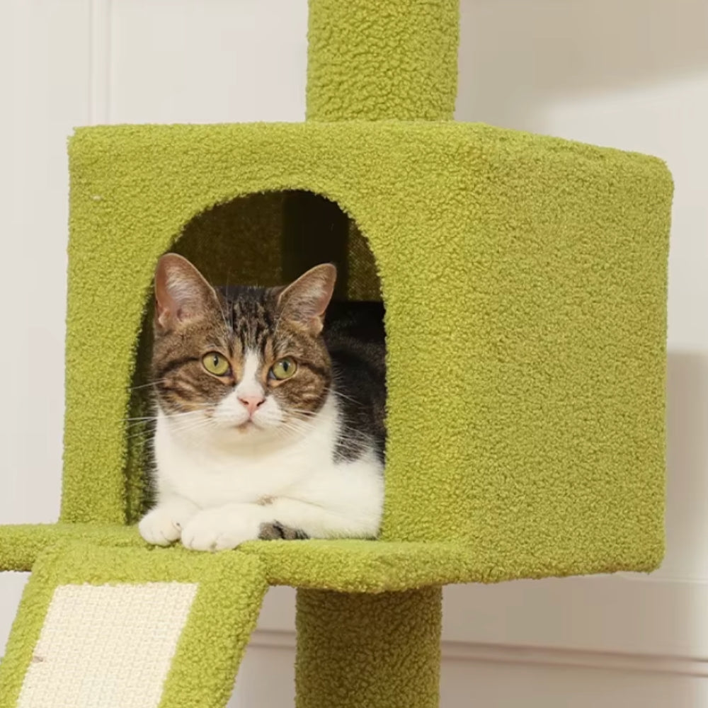 Arbre À Chat - Alex