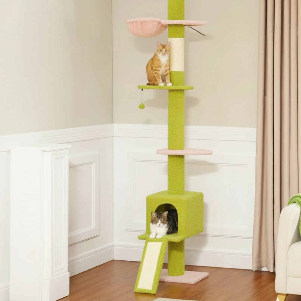 Arbre À Chat - Alex