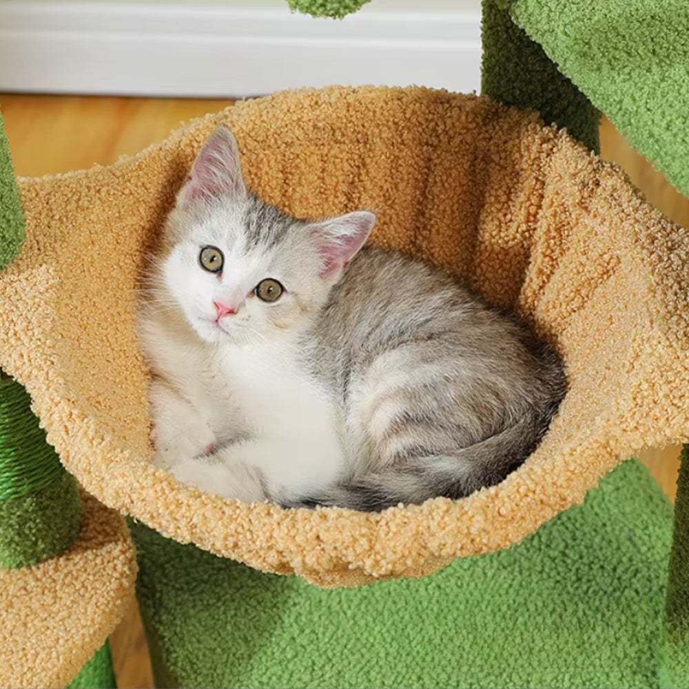 Arbre À Chat - Meiko