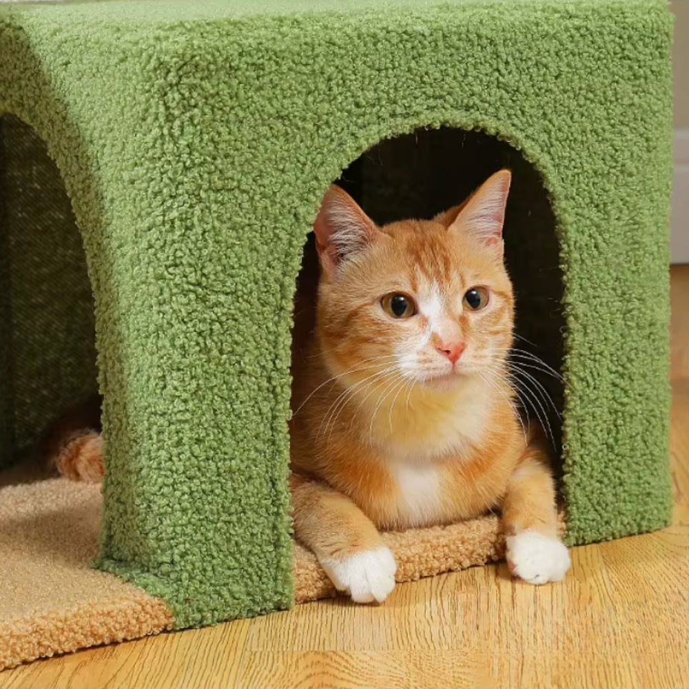 Arbre À Chat - Meiko