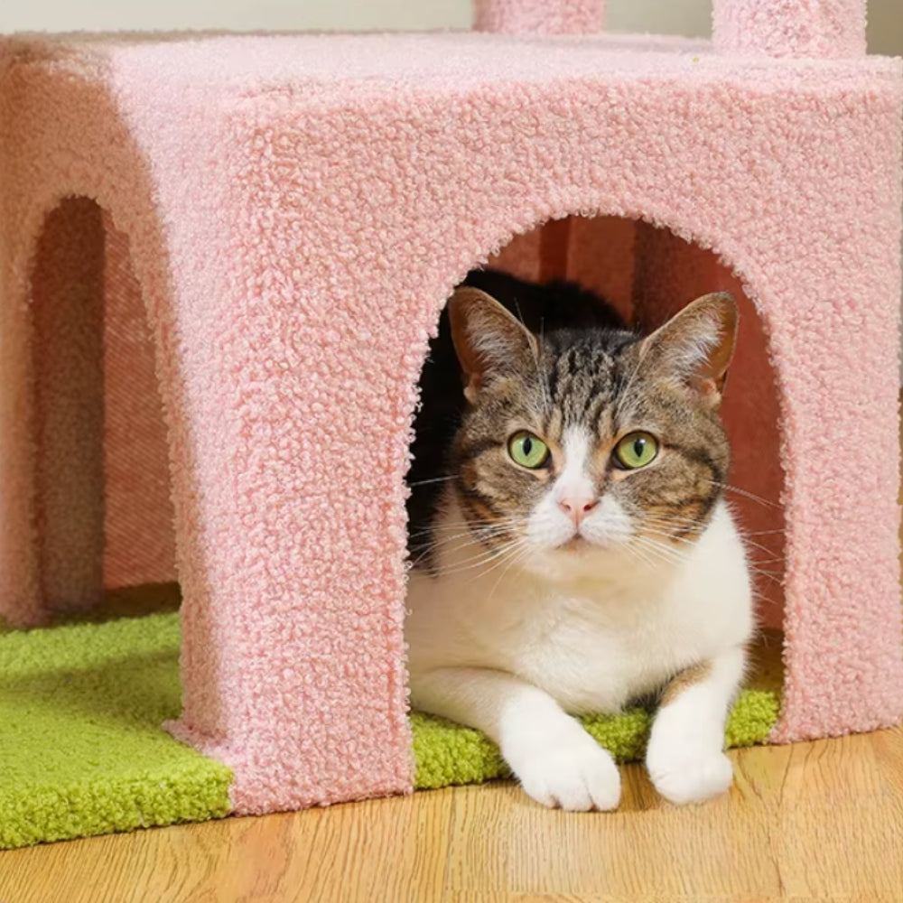 Arbre À Chat - Meiko