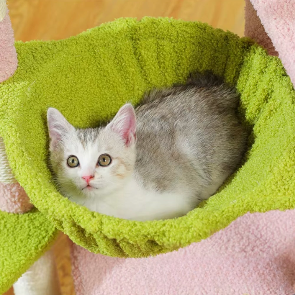 Arbre À Chat - Meiko