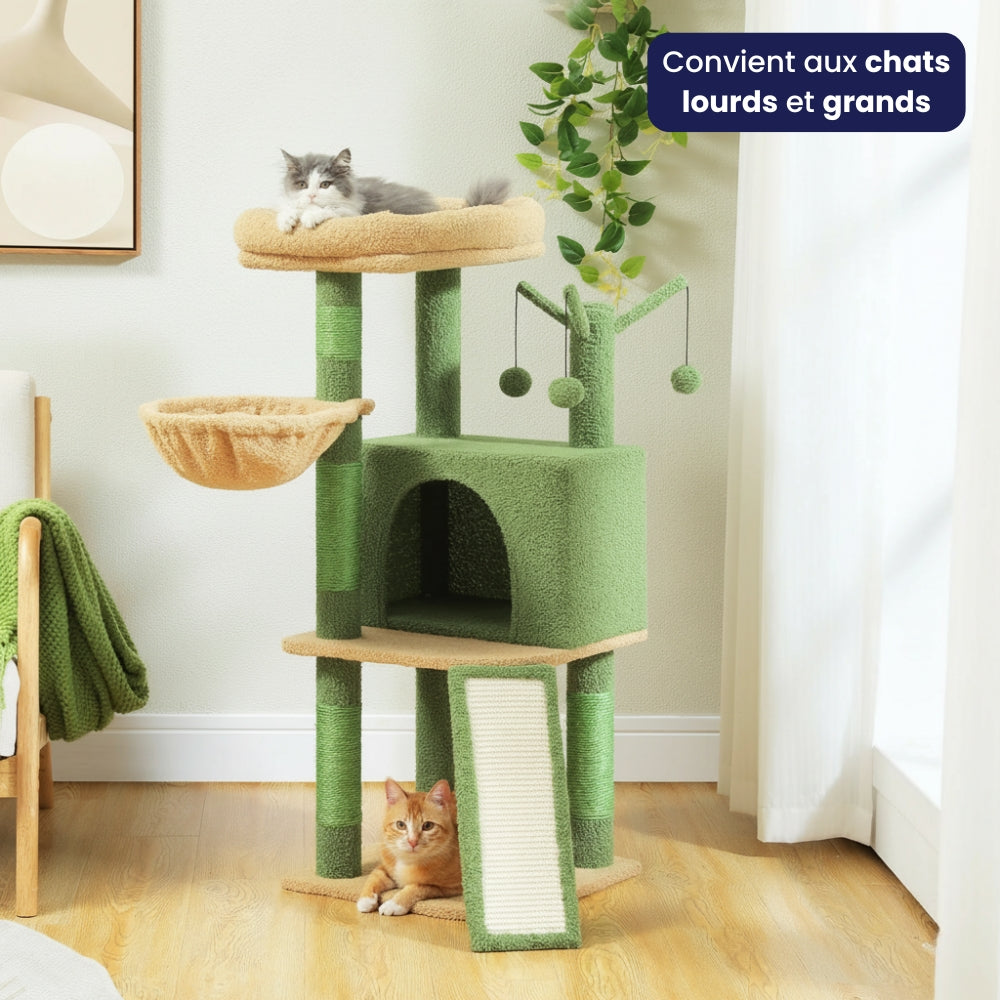 Arbre À Chat - Olive