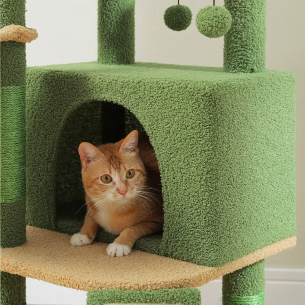 Arbre À Chat - Olive