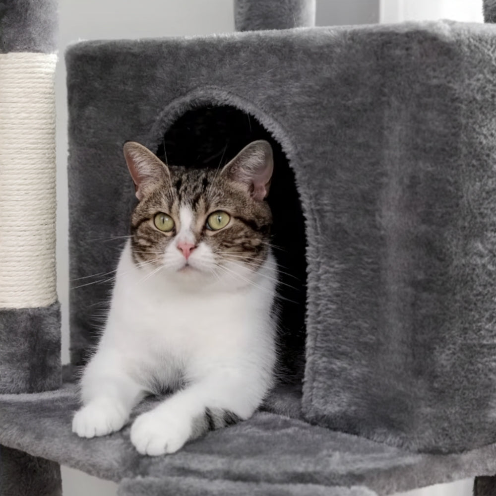 Arbre À Chat - Olive