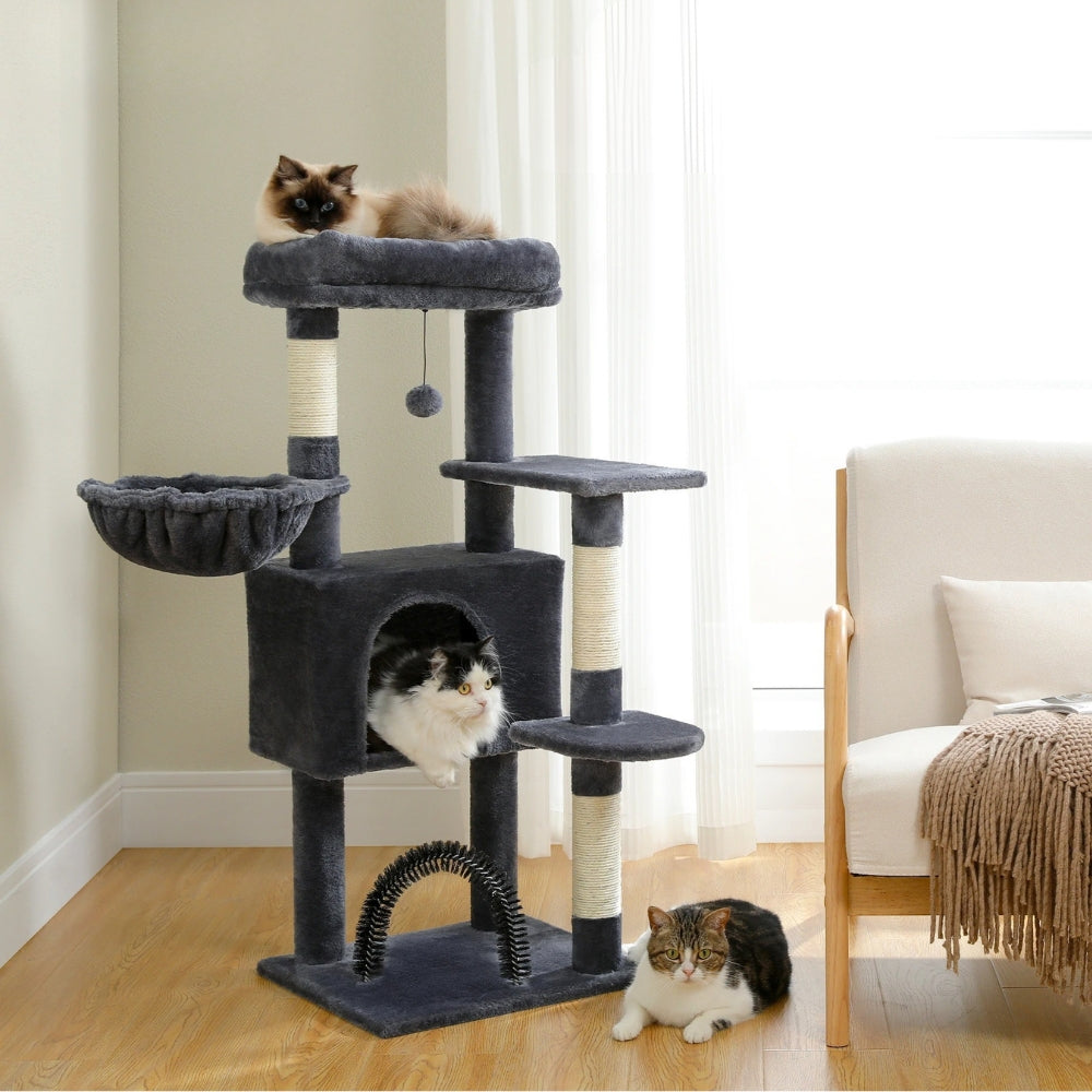 Arbre À Chat - Perle