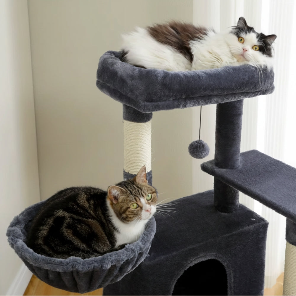 Arbre À Chat - Perle