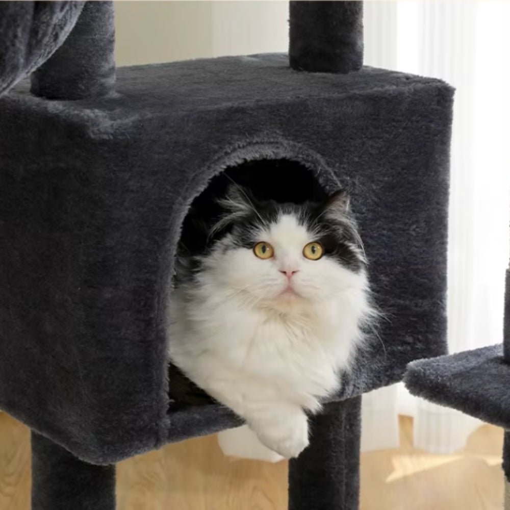 Arbre À Chat - Perle