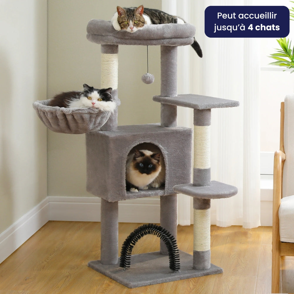 Arbre À Chat - Perle