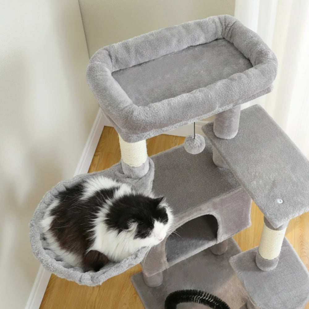 Arbre À Chat - Perle