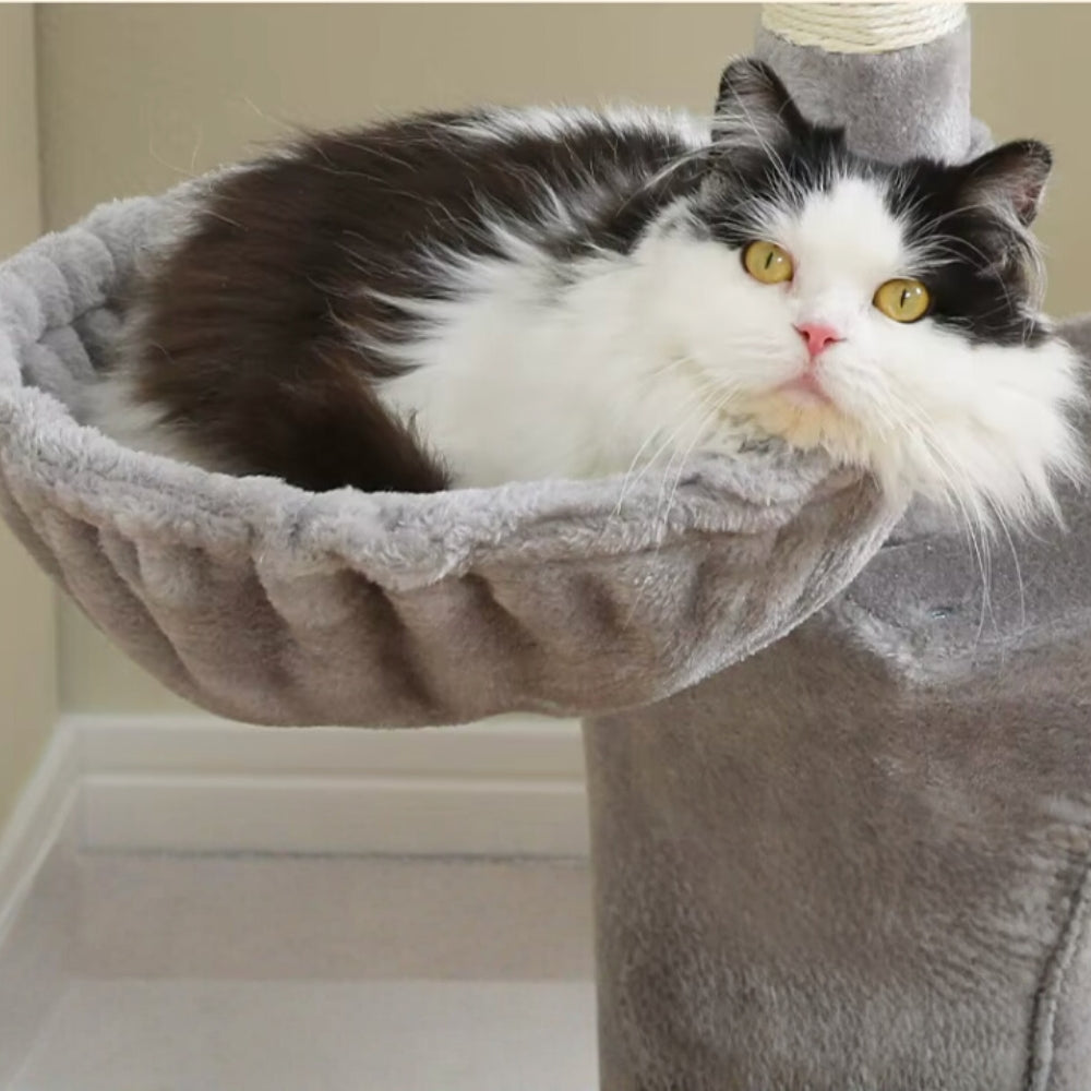 Arbre À Chat - Perle