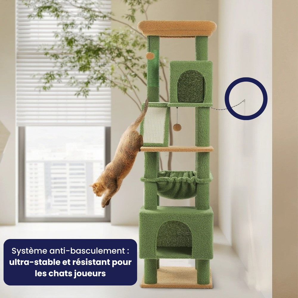 Arbre À Chat - Domino