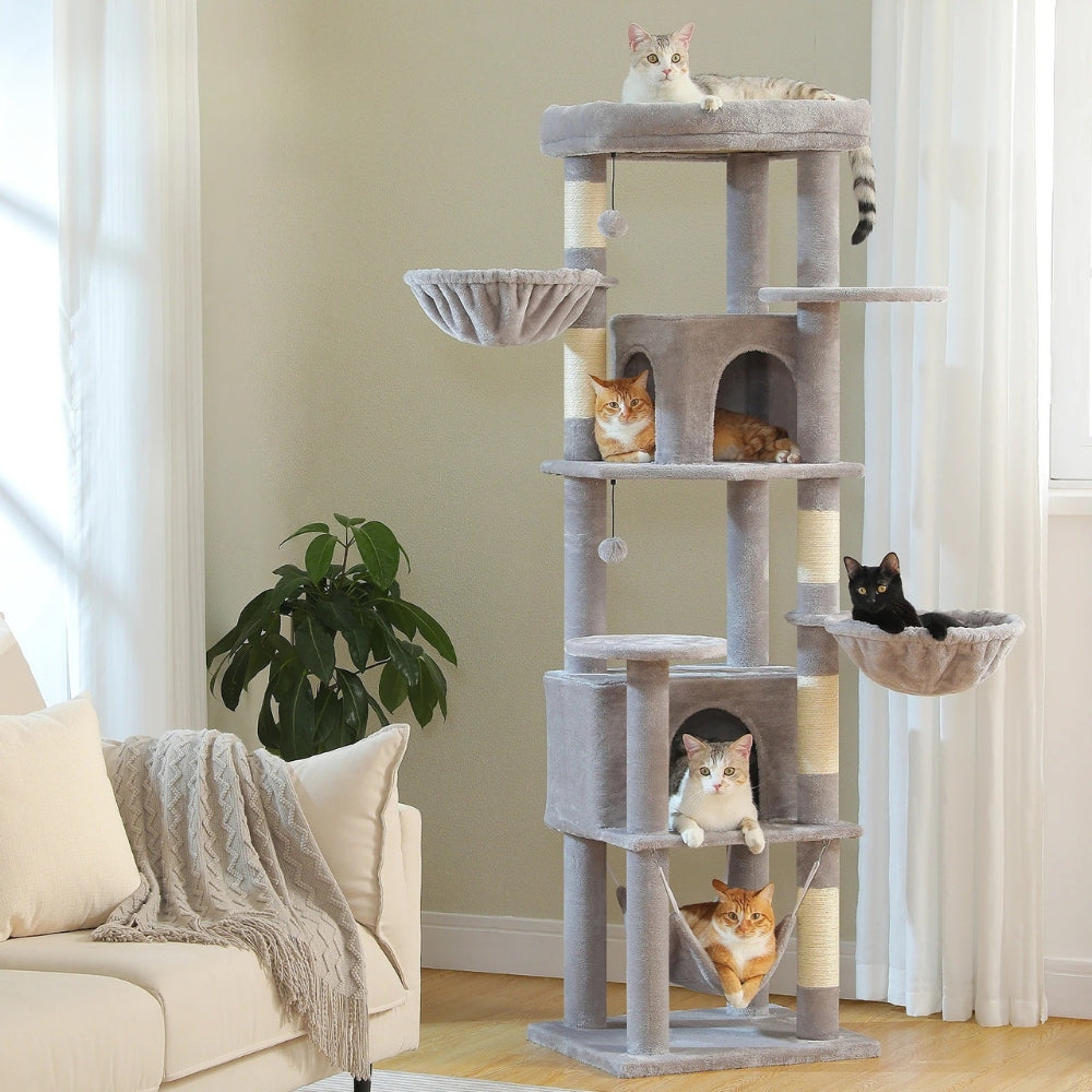 Arbre À Chat - Shadow