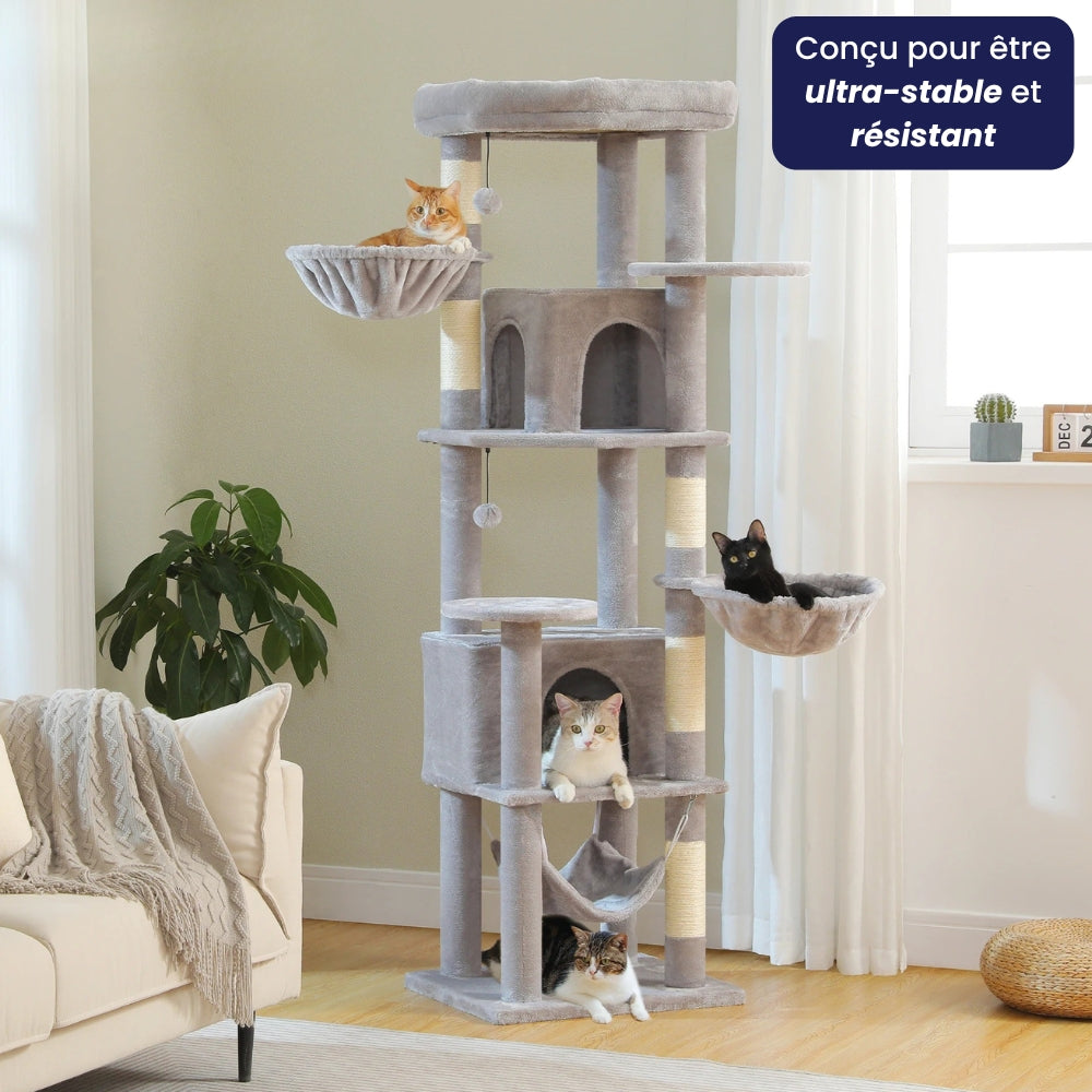 Arbre À Chat - Shadow