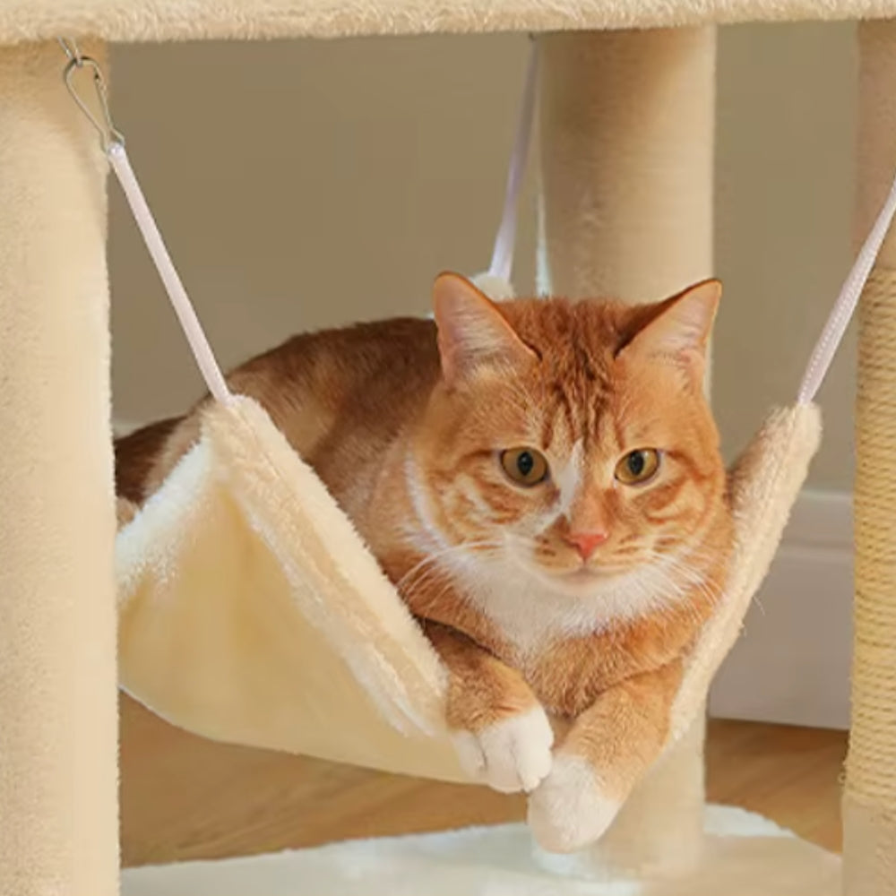 Arbre À Chat - Shadow