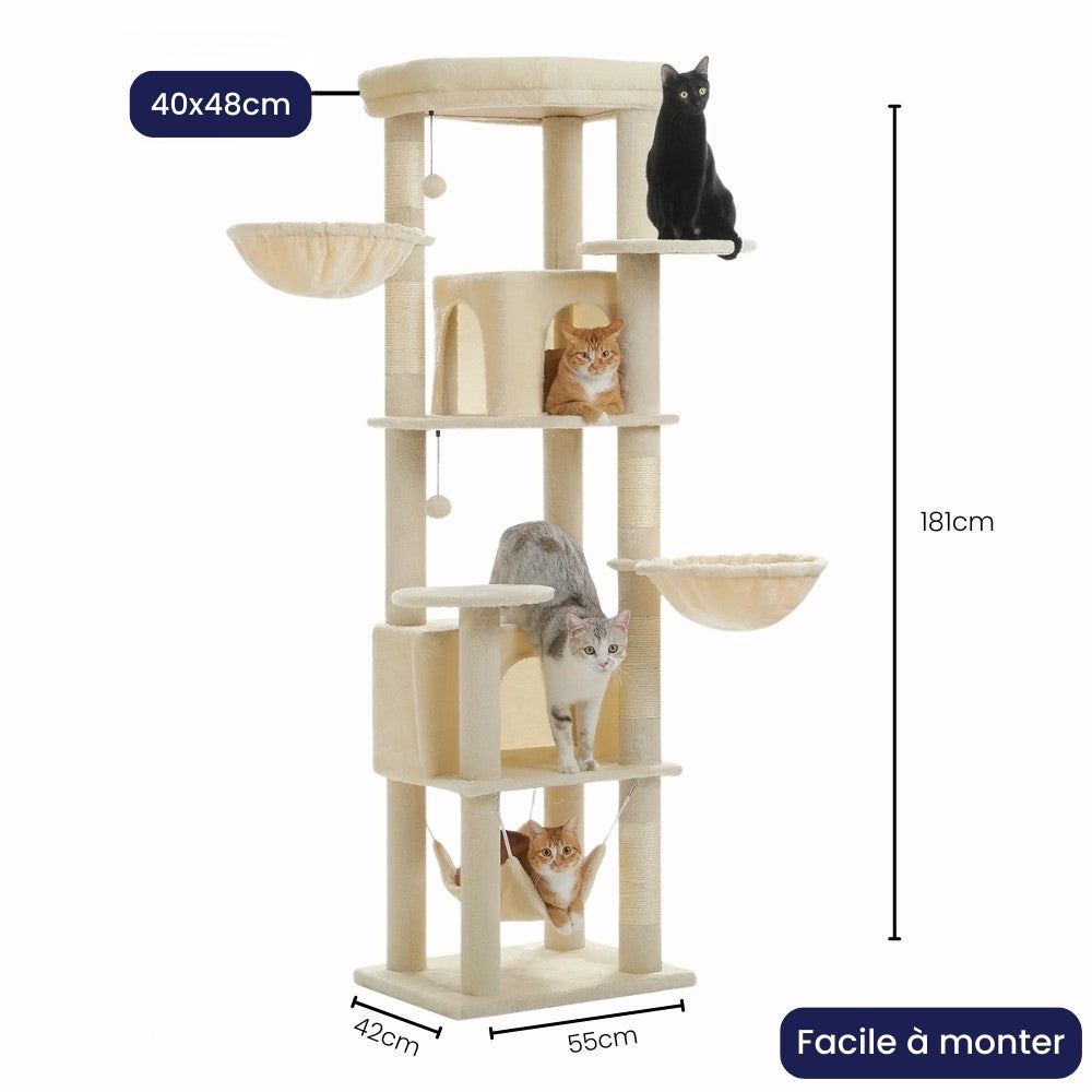 Arbre À Chat - Shadow