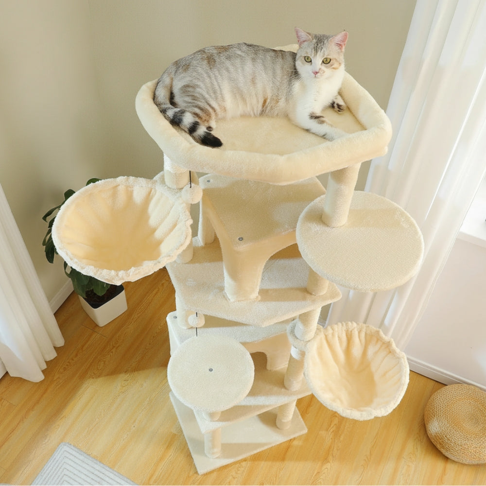 Arbre À Chat - Shadow