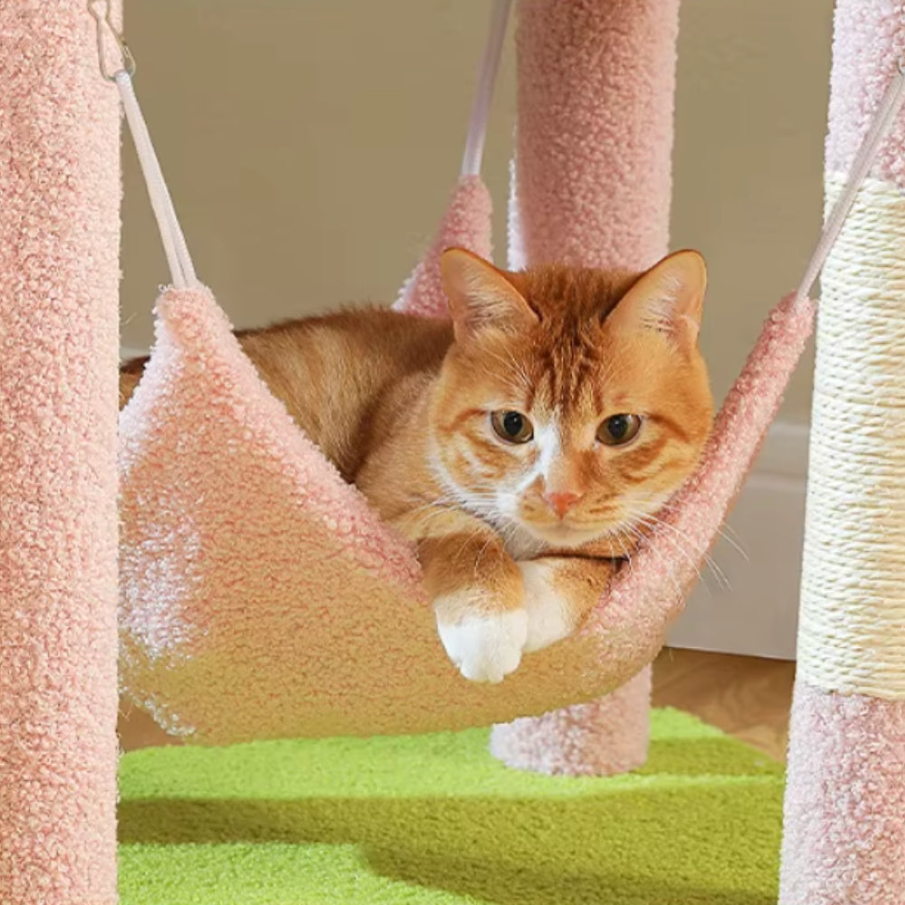 Arbre À Chat - Shadow