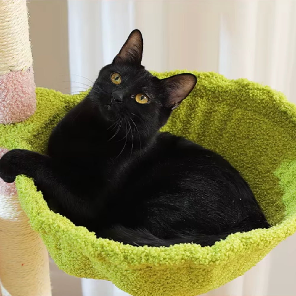 Arbre À Chat - Shadow