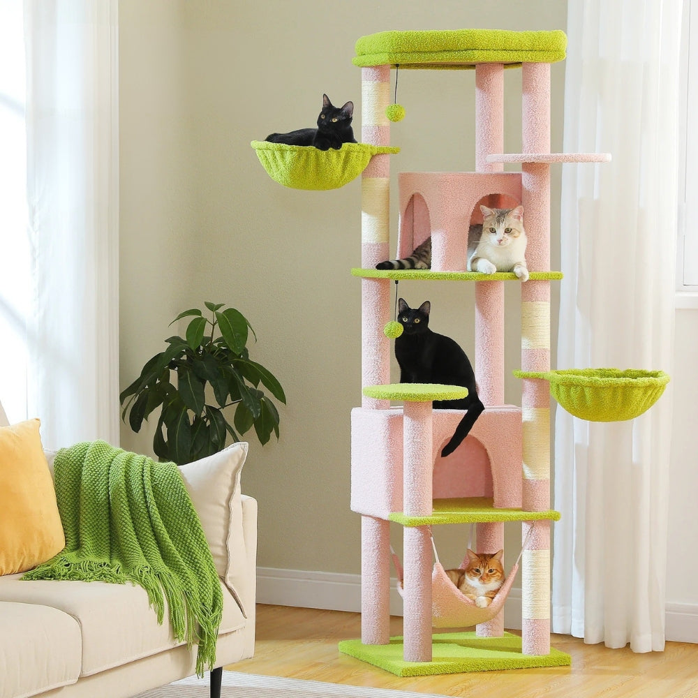 Arbre À Chat - Shadow