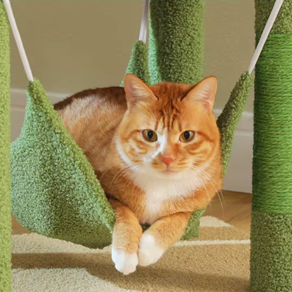 Arbre À Chat - Shadow