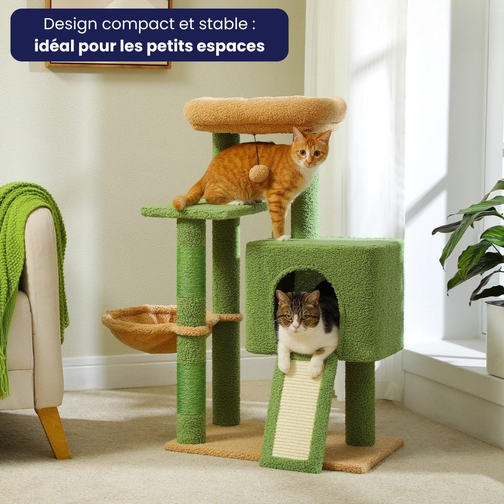 Arbre À Chat - Paddy