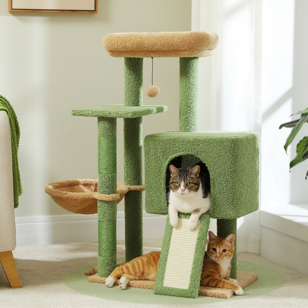 Arbre À Chat - Paddy